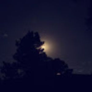 Meet your Posher, Gillian